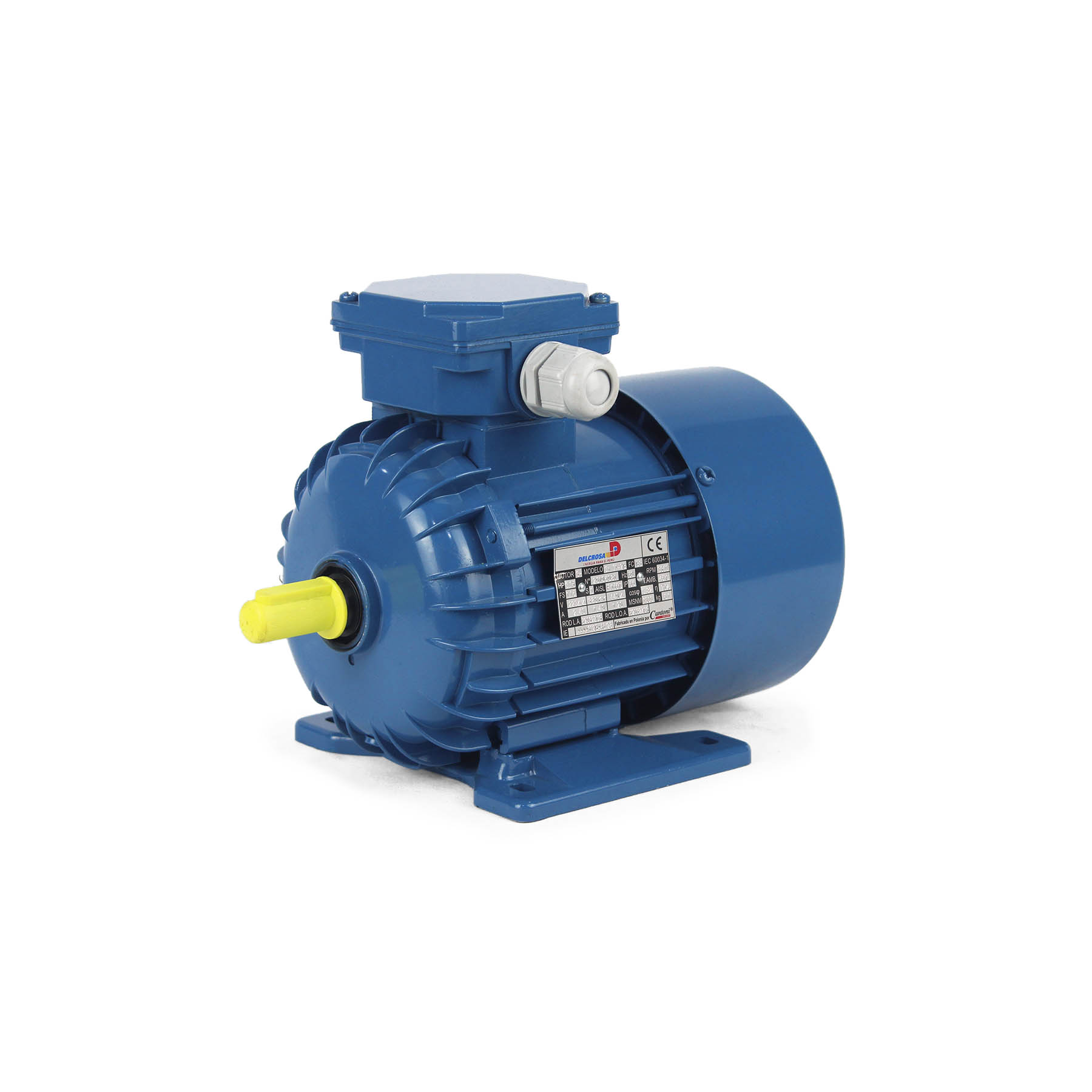MOTOR CANTONI EUROPEO TRIFÁSICO 2POLOS-4POLOS-6POLOS